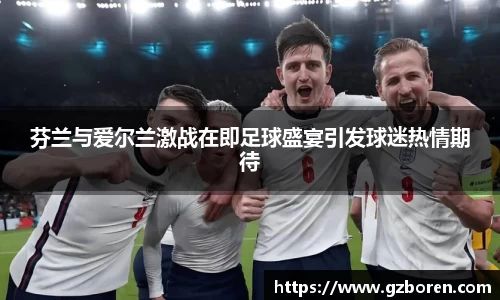 芬兰与爱尔兰激战在即足球盛宴引发球迷热情期待